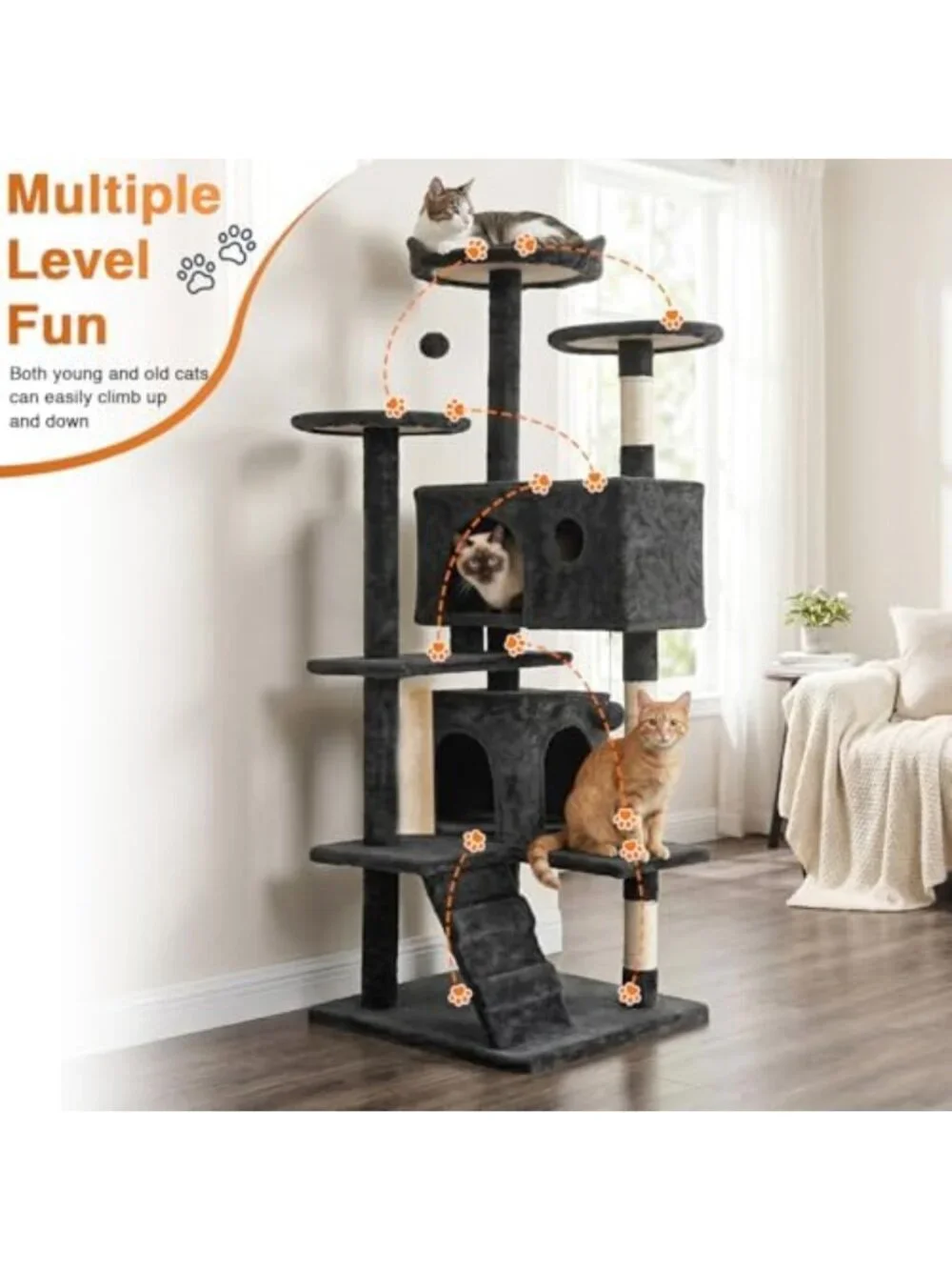 Multi-Level 54